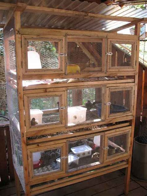 best quail coop design|DIY Quail Coop: A Step